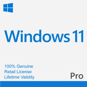 Windows 11 Pro Lifetime License E-Mail Delivery Only